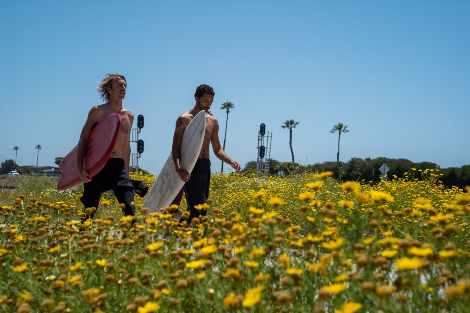 Jupiter8 50mm f/2 Review Leica Lenses for Normal People